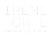 Irene Forte